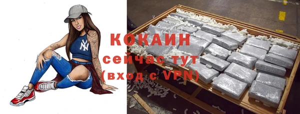 твердый Аркадак