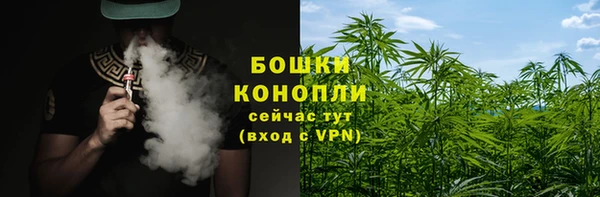 PSILOCYBIN Армянск