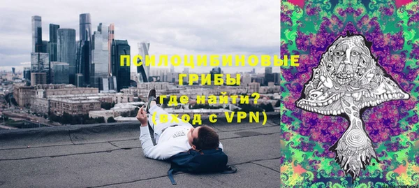 твердый Аркадак