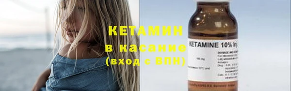 твердый Аркадак