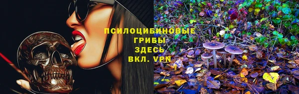PSILOCYBIN Армянск