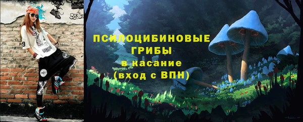 амф Арсеньев