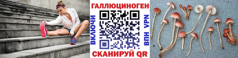 купить наркоту  Сухой Лог  Галлюциногенные грибы GOLDEN TEACHER 